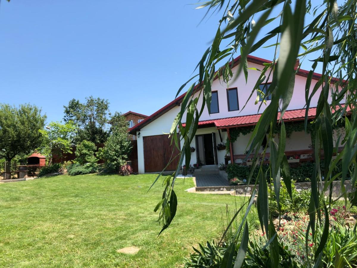 Casa De Vacanta Potoc Zewnętrze zdjęcie