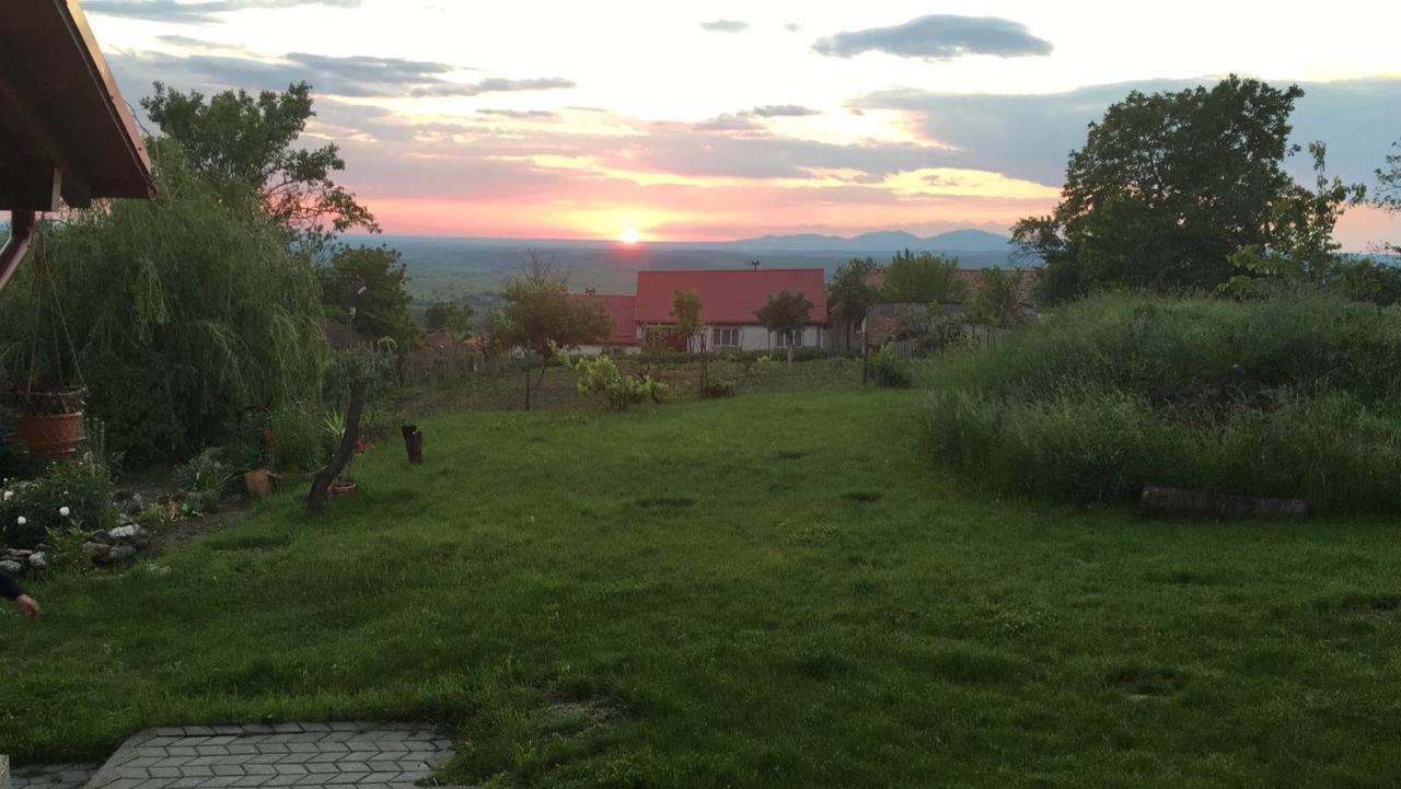 Casa De Vacanta Potoc Zewnętrze zdjęcie